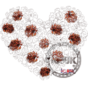 Leopard_Roses_Hearts
